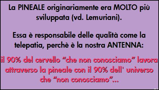 DNA E PINEALE