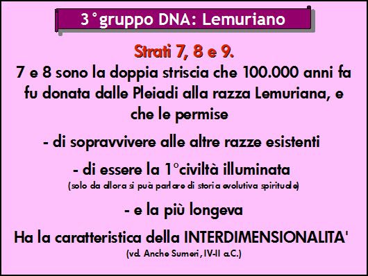 dna gruppo lemuriano