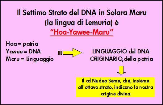 dna gruppo lemuriano