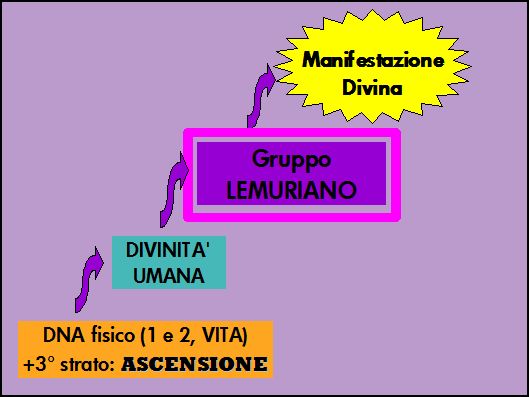 dna gruppo lemuriano