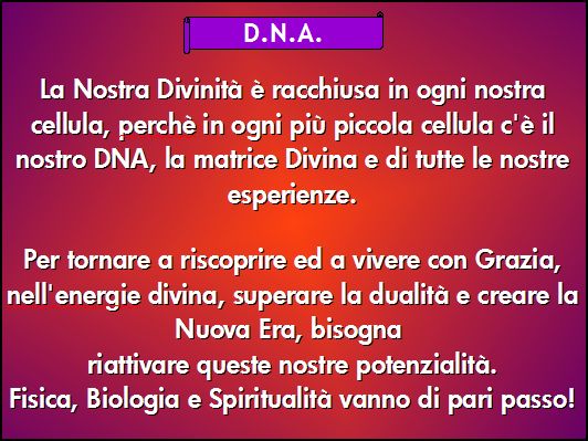 DNA E DIVINO