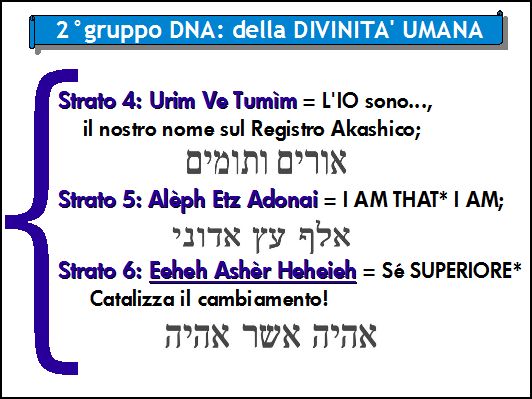 SECONDO GRUPPO DNA