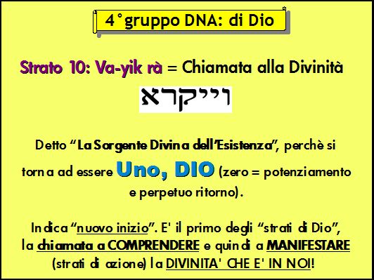 QUARTO GRUPPO DNA